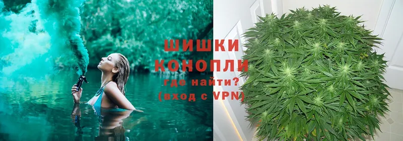 мега онион  Шлиссельбург  Шишки марихуана SATIVA & INDICA  как найти  